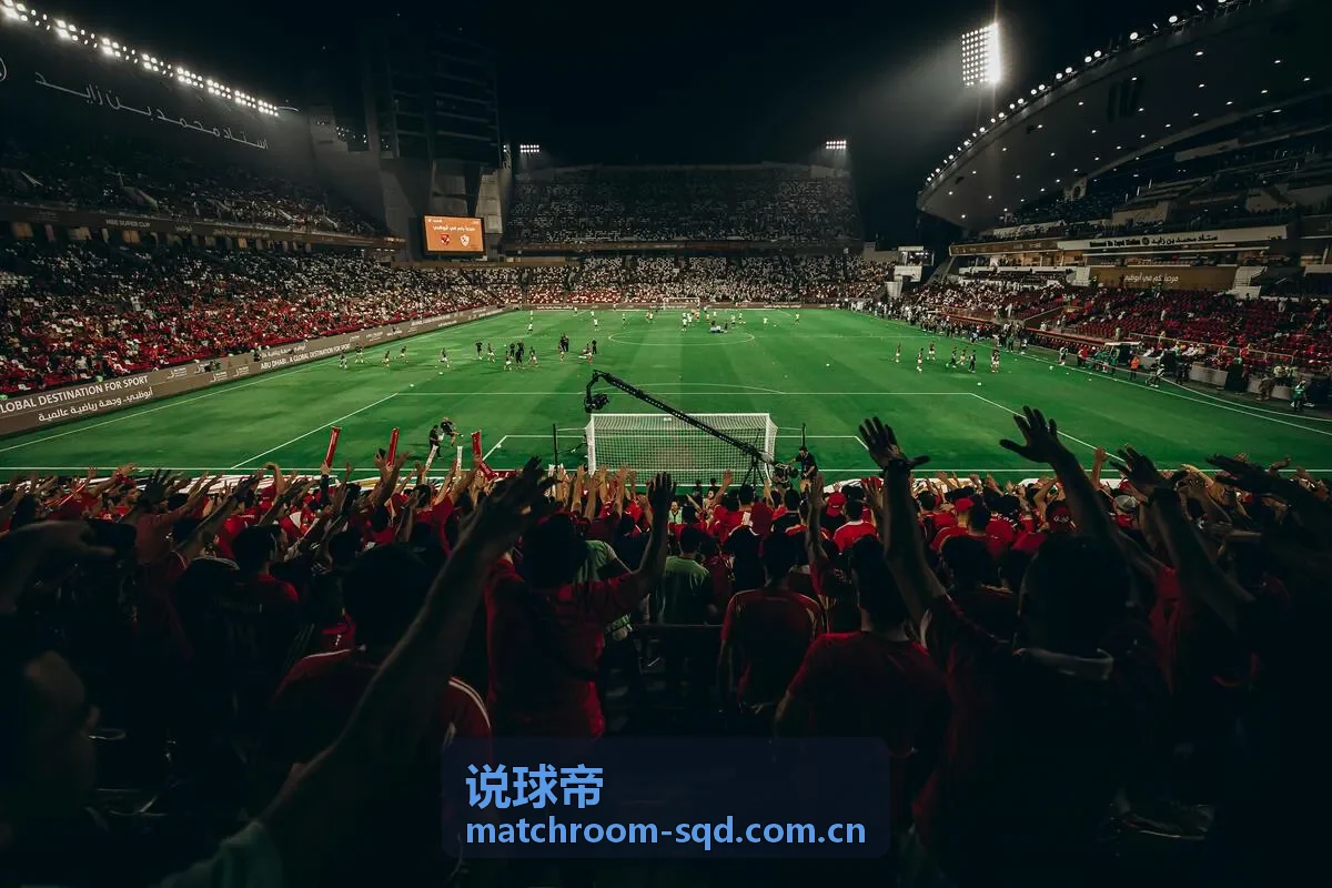 中锋数据背后的效率真相深度解析